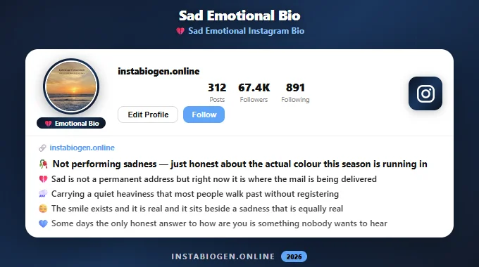 Sad Emotional Instagram Bio